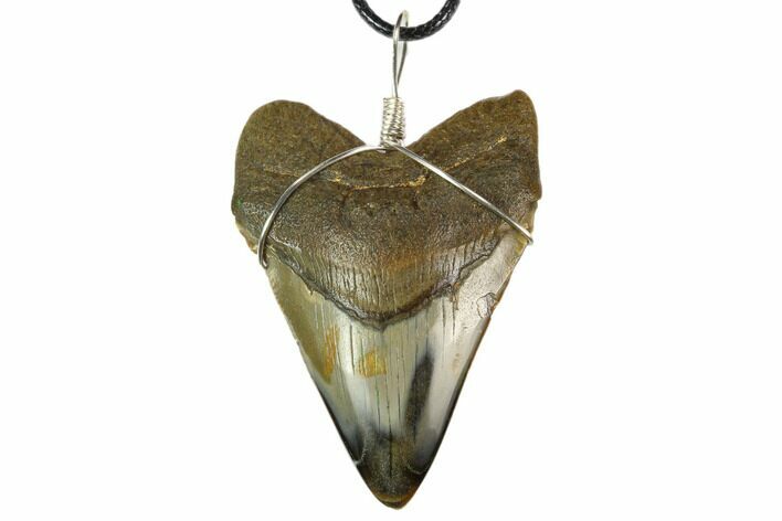 Fossil Megalodon Tooth Necklace #130382